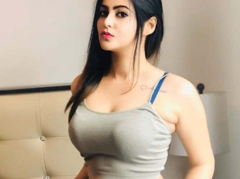 chandigarh escort services