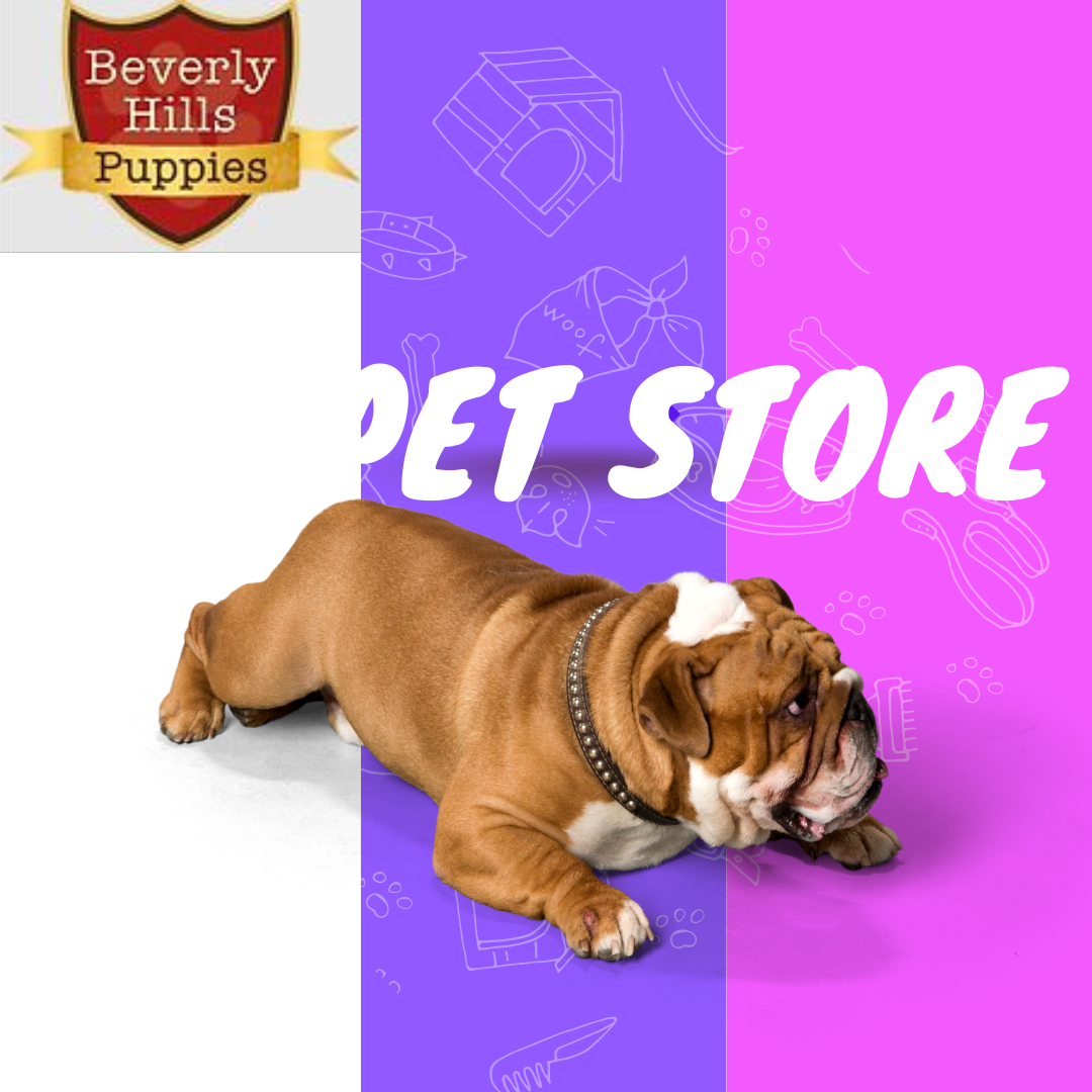6 Most Common Toxic Foods You Should Avoid For English Bulldogs