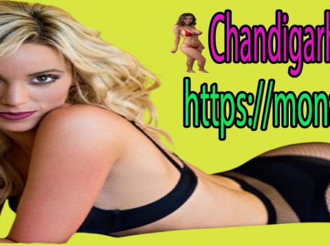 Chandigarh Escorts