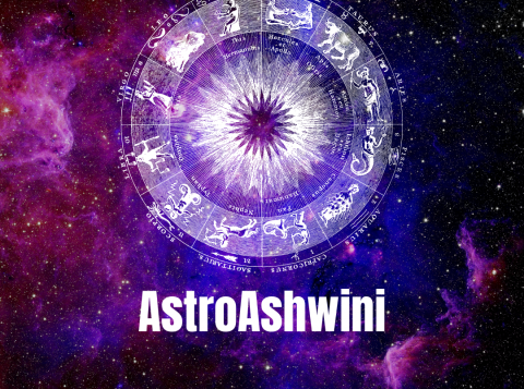 best astrologer in india