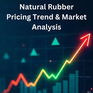 Natural Rubber Pricing Trend in 2025: Key Factors That Will Shape the Market