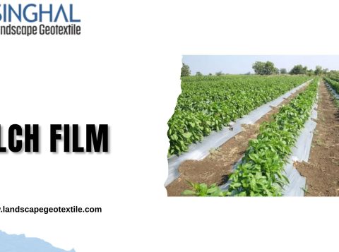 Mulch Film